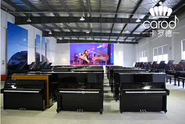 熱烈慶?？_德鋼琴經(jīng)銷(xiāo)商考察交流會(huì)在上海成功舉行 技術(shù)服務(wù)賦能行業(yè)未來(lái)